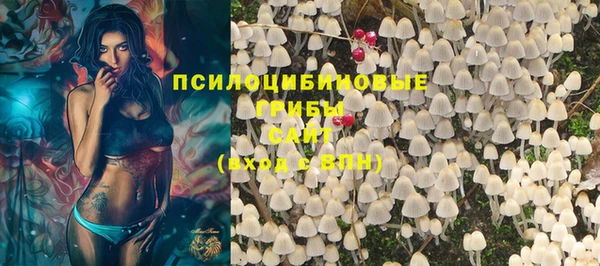 стафф Медвежьегорск