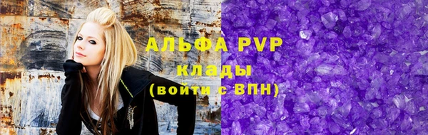 стафф Медвежьегорск