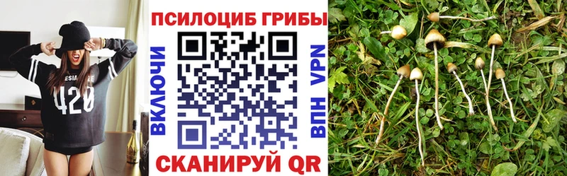 Купить где  Рыбное  Галлюциногенные грибы мицелий 